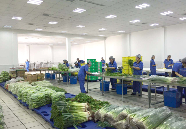 企業和工廠食堂有效降低員工飯堂承包采購成本 